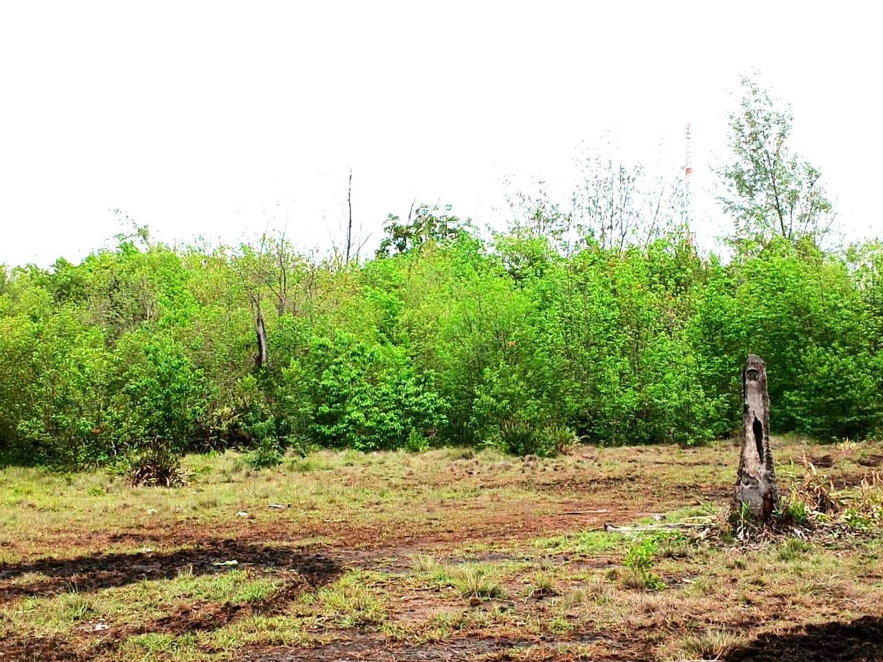 Tanah DiJual > NATRABU, Gili Meno